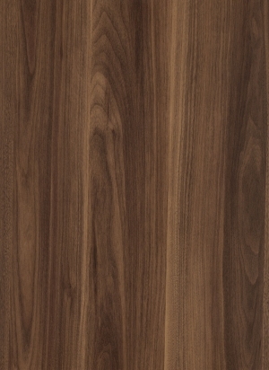 Wood Texture