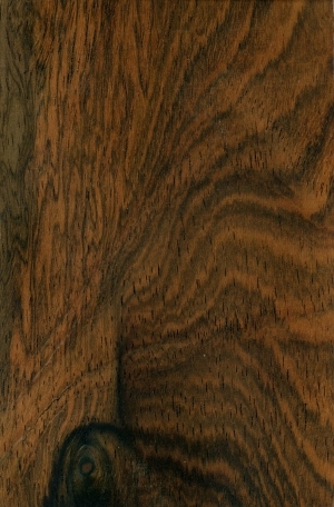 Wood Texture