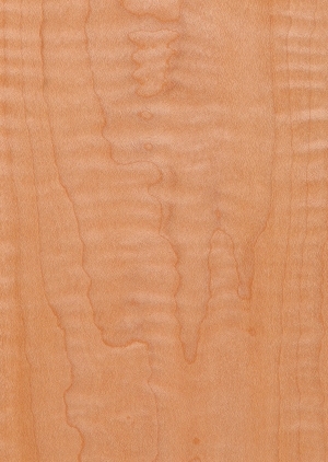 Wood Texture