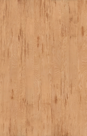 Wood Texture