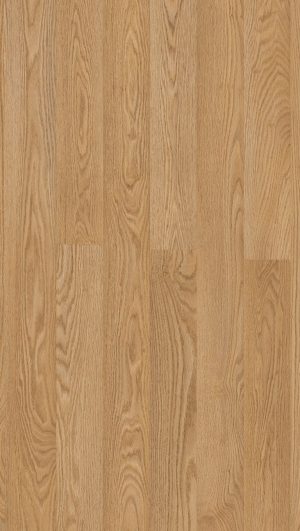 Wood Texture