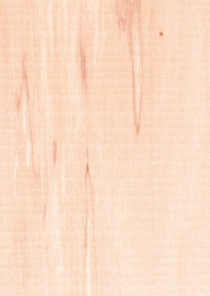 Wood Texture