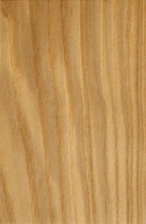 Wood Texture