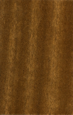 Wood Texture