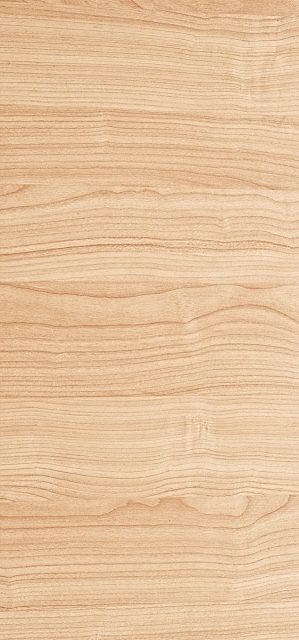 Wood Texture