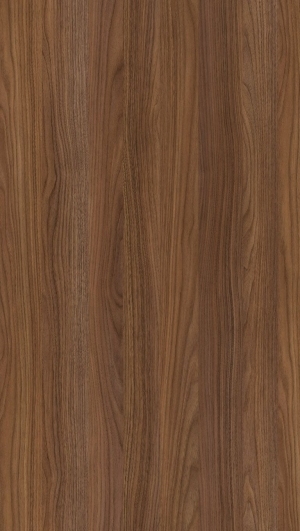 Wood Texture