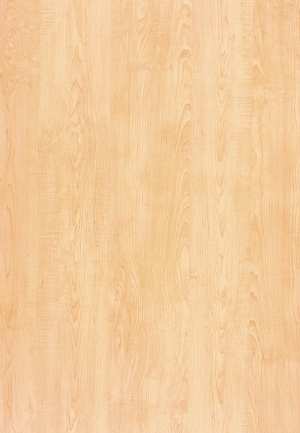 Wood Texture