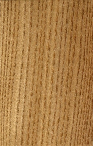 Wood Texture