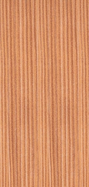 Wood Texture