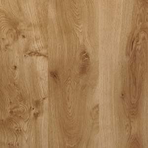 Wood Texture