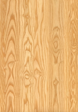 Wood Texture