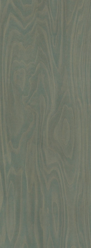 Wood Texture