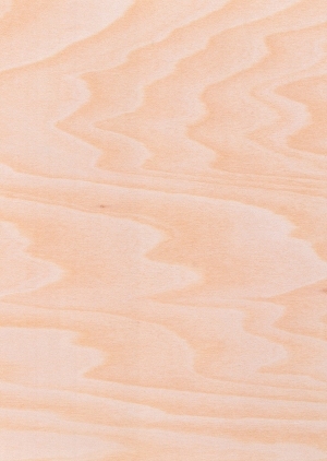 Wood Texture