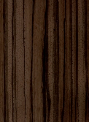 Wood Texture