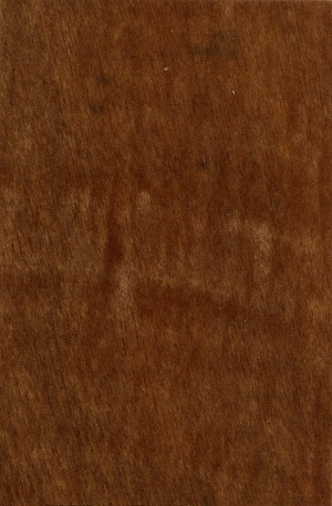 Wood Texture