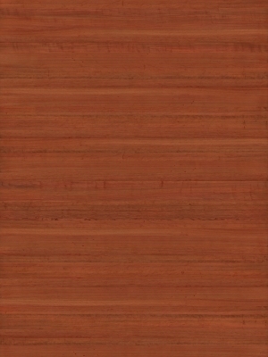 Wood Texture