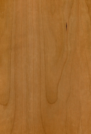 Wood Texture