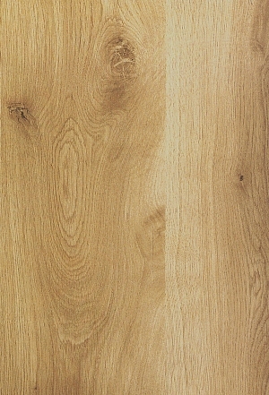 Wood Texture