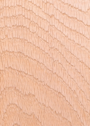 Wood Texture