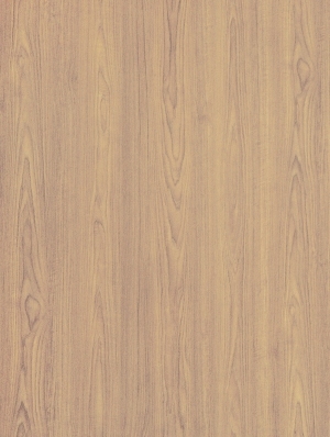 Wood Texture