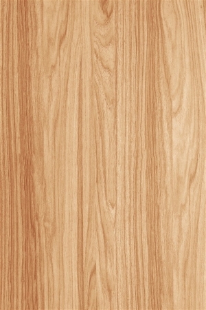 Wood Texture