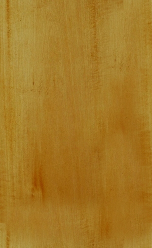 Wood Texture