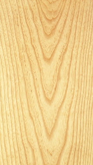 Wood Texture