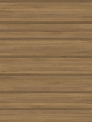 Wood Texture