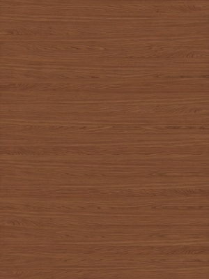 Wood Texture