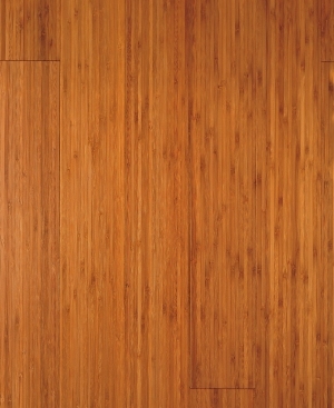 Wood Texture