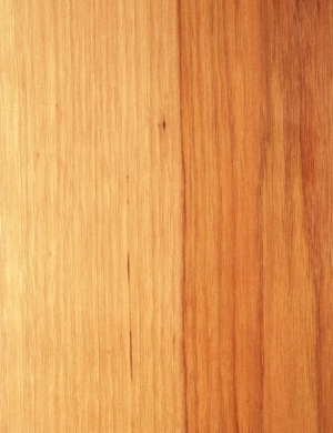 Wood Texture