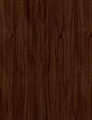 Wood Texture