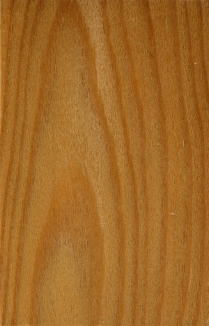 Wood Texture