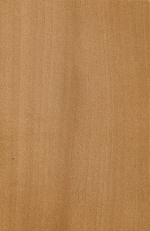 Wood Texture