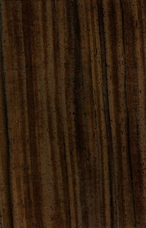 Wood Texture