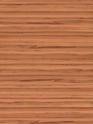 Wood Texture