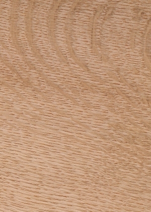 Wood Texture