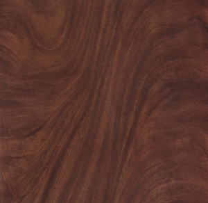 Wood Texture