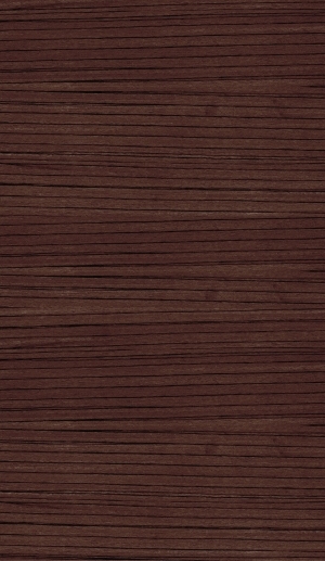 Wood Texture