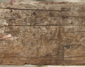 Old Wood Texture