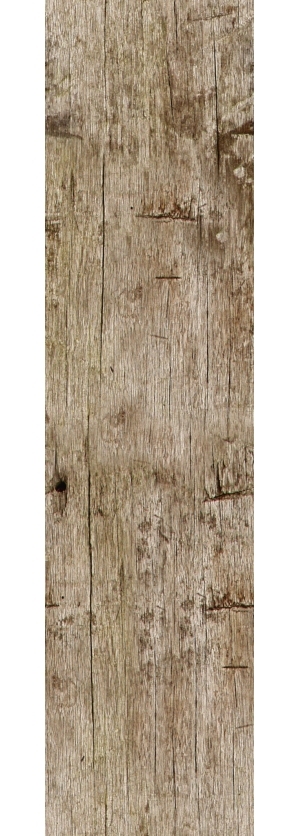 Old Wood Texture