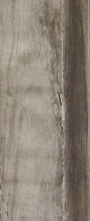 Old Wood Texture