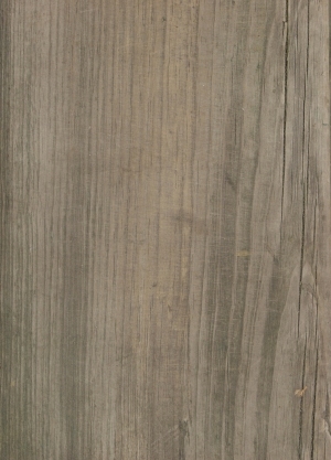 Old Wood Texture