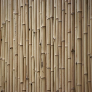 Rattan Texture