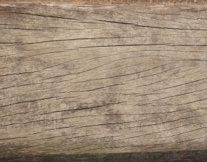 Old Wood Texture