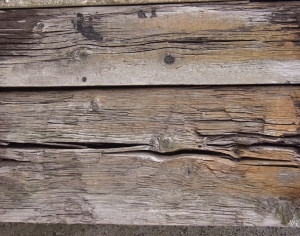 Old Wood Texture