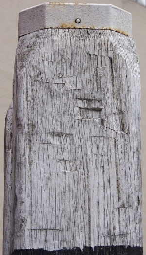 Old Wood Texture