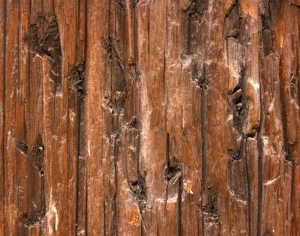 Old Wood Texture