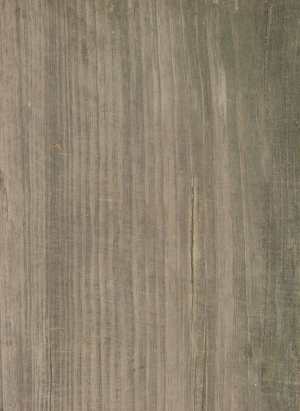 Old Wood Texture