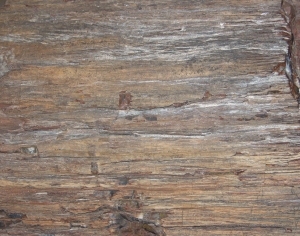 Old Wood Texture